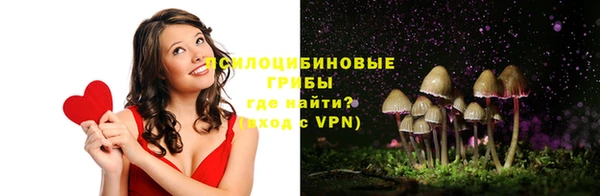 ешки Кукмор