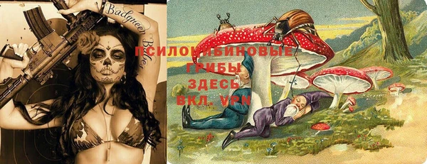 PSILOCYBIN Куйбышев