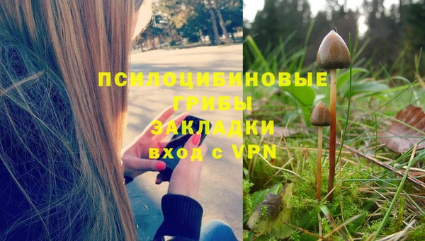 PSILOCYBIN Куйбышев