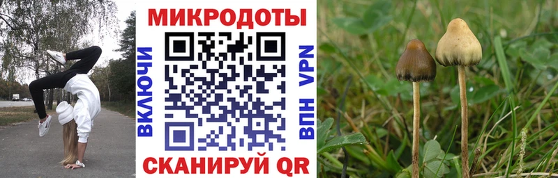 Псилоцибиновые грибы ЛСД Цивильск
